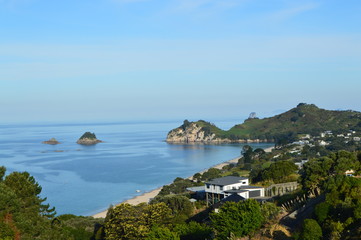 Overlooking the Ocean in New Zealand