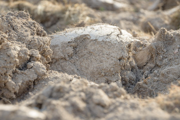 Arable land in the countryside. Farmland landscape. View of agricultural land prepared for sowing. Plowed and harrowed ground. Soil recently ploughed for new season.