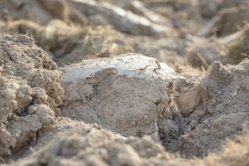 Arable land in the countryside. Farmland landscape. View of agricultural land prepared for sowing. Plowed and harrowed ground. Soil recently ploughed for new season.
