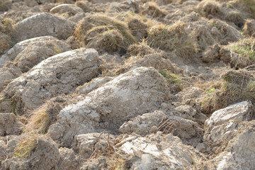 Arable land in the countryside. Farmland landscape. View of agricultural land prepared for sowing. Plowed and harrowed ground. Soil recently ploughed for new season.
