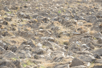 Arable land in the countryside. Farmland landscape. View of agricultural land prepared for sowing. Plowed and harrowed ground. Soil recently ploughed for new season.