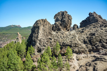 Gran Canaria - Wanderung zum Roque Nublo: 1800er Berg