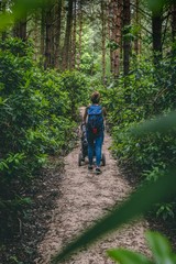 Obraz premium Taking a Stroll