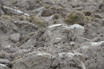 Arable land in the countryside. Farmland landscape. View of agricultural land prepared for sowing. Plowed and harrowed ground. Soil recently ploughed for new season.