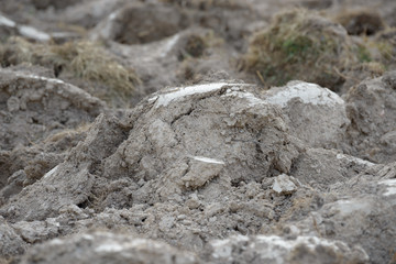 Arable land in the countryside. Farmland landscape. View of agricultural land prepared for sowing. Plowed and harrowed ground. Soil recently ploughed for new season.