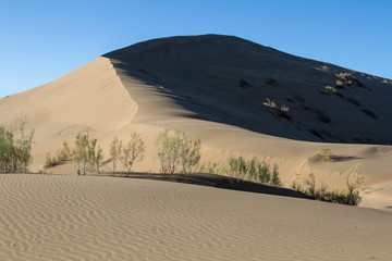 Fototapeta na wymiar Golden sands of a singing dune in Kazakhstan