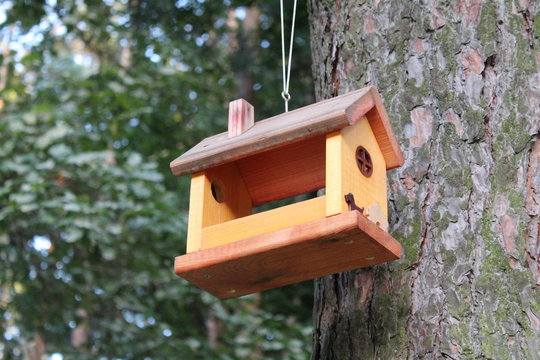 photo bird feeders.made by human hands.hanging on the tree in the forest.