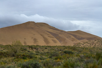 Golden sands of a singing dune in Kazakhstan