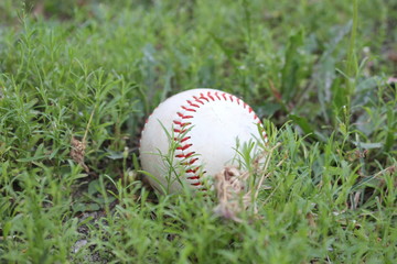 Baseball in a grassy field