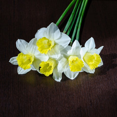 bouquet of daffodils on a dark background. postcard with daffodils. floral background with spring flower