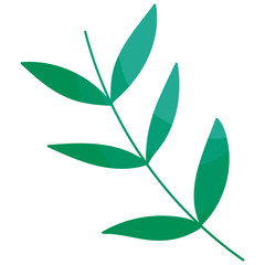 Isolated leaf vector design vector illustration