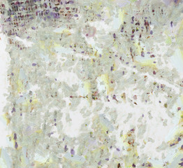 Abstract oil painting texture background.