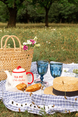 Stylish picnic on the green lawn. Fresh croissants and a teapot with tea on a bedspread near a wicker female hat. Instagram content.