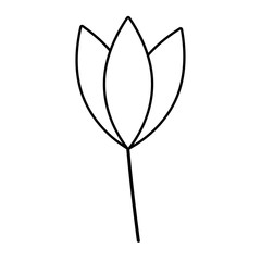 Isolated flower ornament design vector illustration