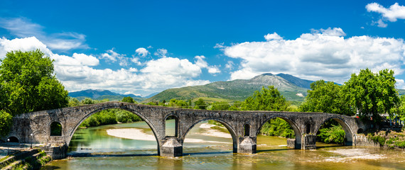 Fototapeta na wymiar The Bridge of Arta in Greece