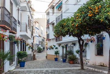 Traditional Spanish street with beautiful white houses, flower pots and citrus trees