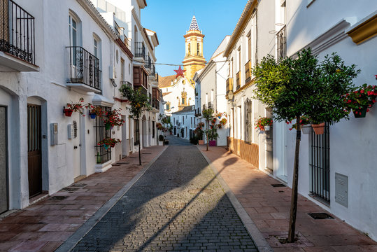 Traditional Spanish street with beautiful white houses, flower pots and citrus trees