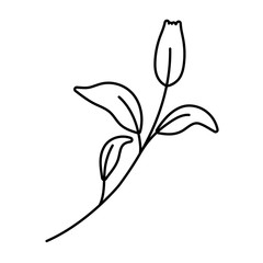 Obraz premium Isolated flower ornament design vector illustration