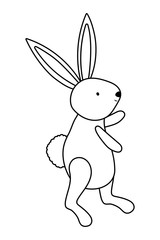 Isolated rabbit cartoon vector design