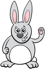 funny rabbit cartoon animal character