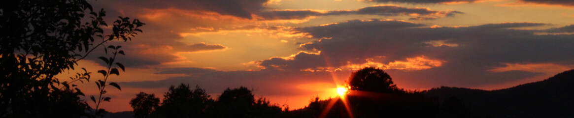 Fototapeta premium sunset in forest