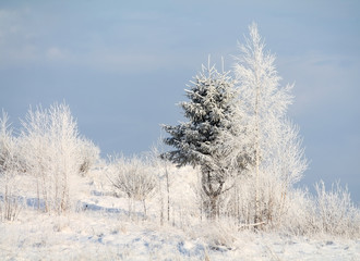 winter landscape with river and trees