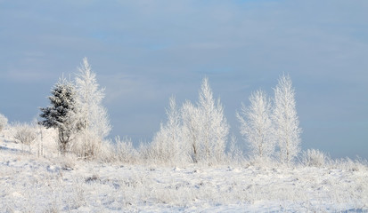 winter landscape with river and trees