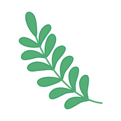 Isolated leaf design vector illustration