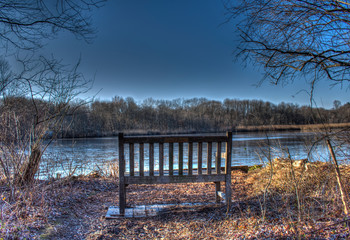 Bench at Celery Farms