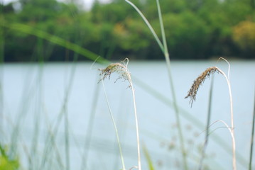 貯水池