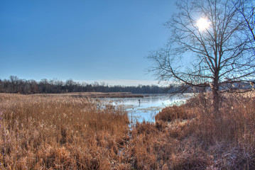 Lake View at Celery Farms