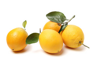 Orange fruit on the white background