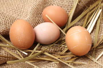 Eggs in hay 