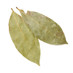 Aromatic bay leaves isolated on white background