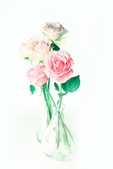 delicate pastel roses on a white background