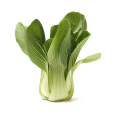 Pok Choi on white background