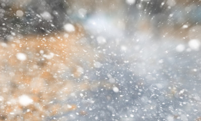 Background autumn park in the first snow