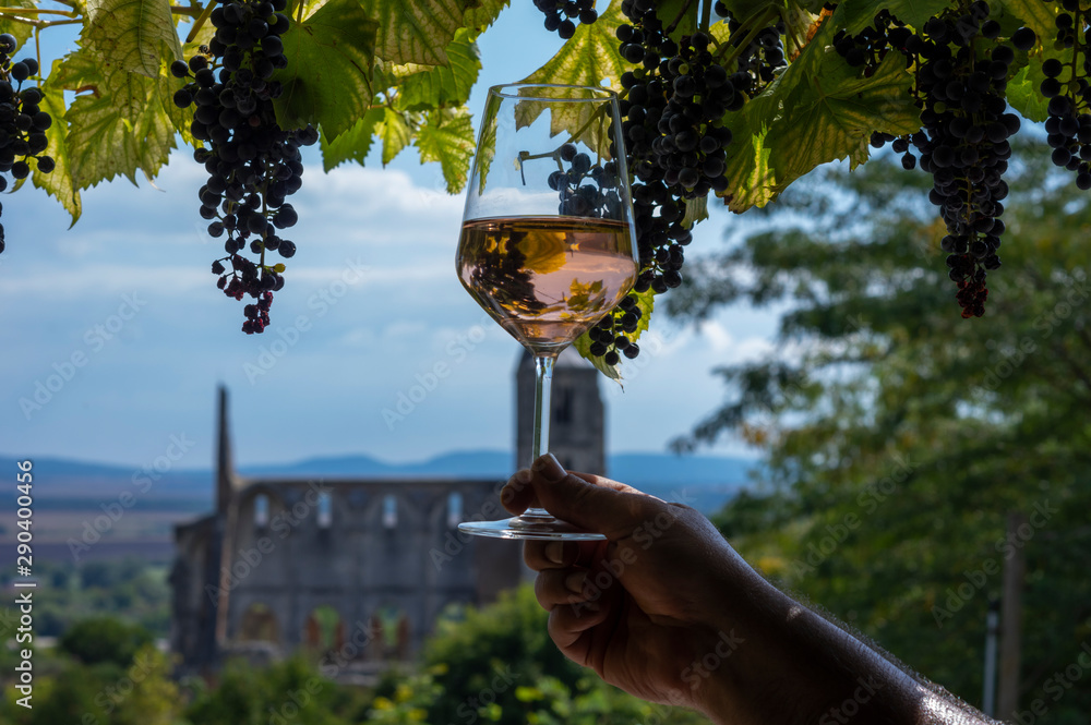 Wall mural tasting a glass of rose wine in zsambek hungar which is part of the etyek wine region. in the backgr