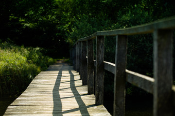 wooden bridge in forest, Bornholm