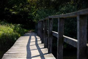 wooden bridge in the forest, Bornholm