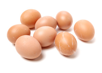 eggs on white background