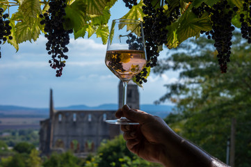 Tasting a glass of rose wine in Zsambek Hungar which is part of the Etyek Wine Region. In the background there is the old monastery church ruin.