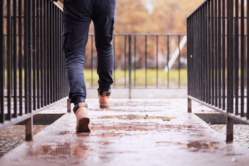 Autumn rainy park in October