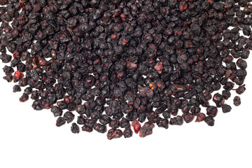 Schisandra on a white background