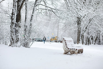 Winter landscape. Forest under the snow. Winter in the park.