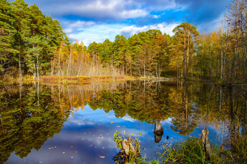 Panorama of autumn forest around a quiet river