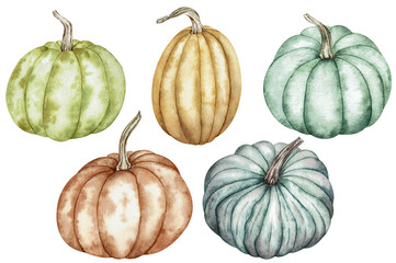 Watercolor clipart of colorful pumpkins - green, red, orange, blue. Thanksgiving collection of pumpkin harvest.