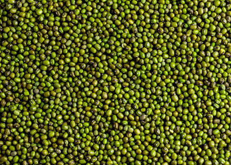 a group of dried green mung beans