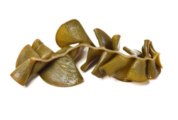 japanese seaweed, mekabu, wakame root on white background