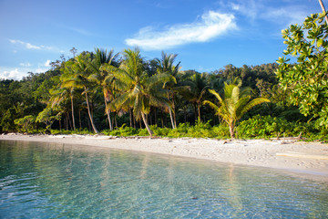 A beautiful beach is bathed by tranquil water amid the remote, tropical islands of Raja Ampat, Indonesia. This equatorial region is possibly the center for marine biodiversity.